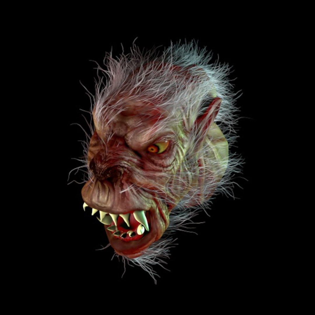 3d werewolf wolf model https://p.turbosquid.com/ts-thumb/su/J1FQx5/0ASBVzXN/wehrwolftsvonobennachlinks/jpg/1299248494/1920x1080/fit_q87/5777ccd0a1afdef8479e98fbcec42c0f9020ec4d/wehrwolftsvonobennachlinks.jpg