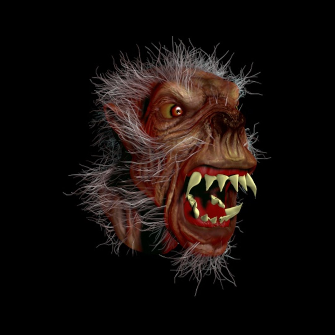 3d werewolf wolf model https://p.turbosquid.com/ts-thumb/su/J1FQx5/3PWQLGFu/wehrwolftshalbfrontalnachrechts/jpg/1299248494/1920x1080/fit_q87/5eea394b42be60df29ed533b06e09e63bc142a0a/wehrwolftshalbfrontalnachrechts.jpg