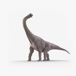 brachiosaurus dinosaur animate 3D model