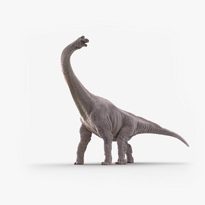 Brachiosaurus