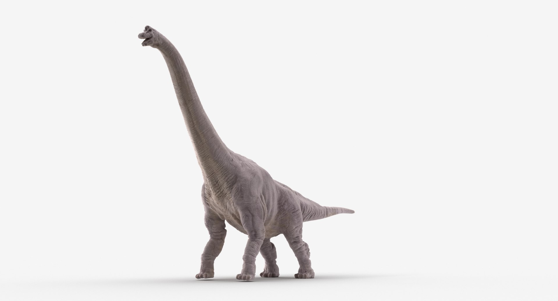 Brachiosaurus Dinosaur Animate 3D Model - TurboSquid 1392853