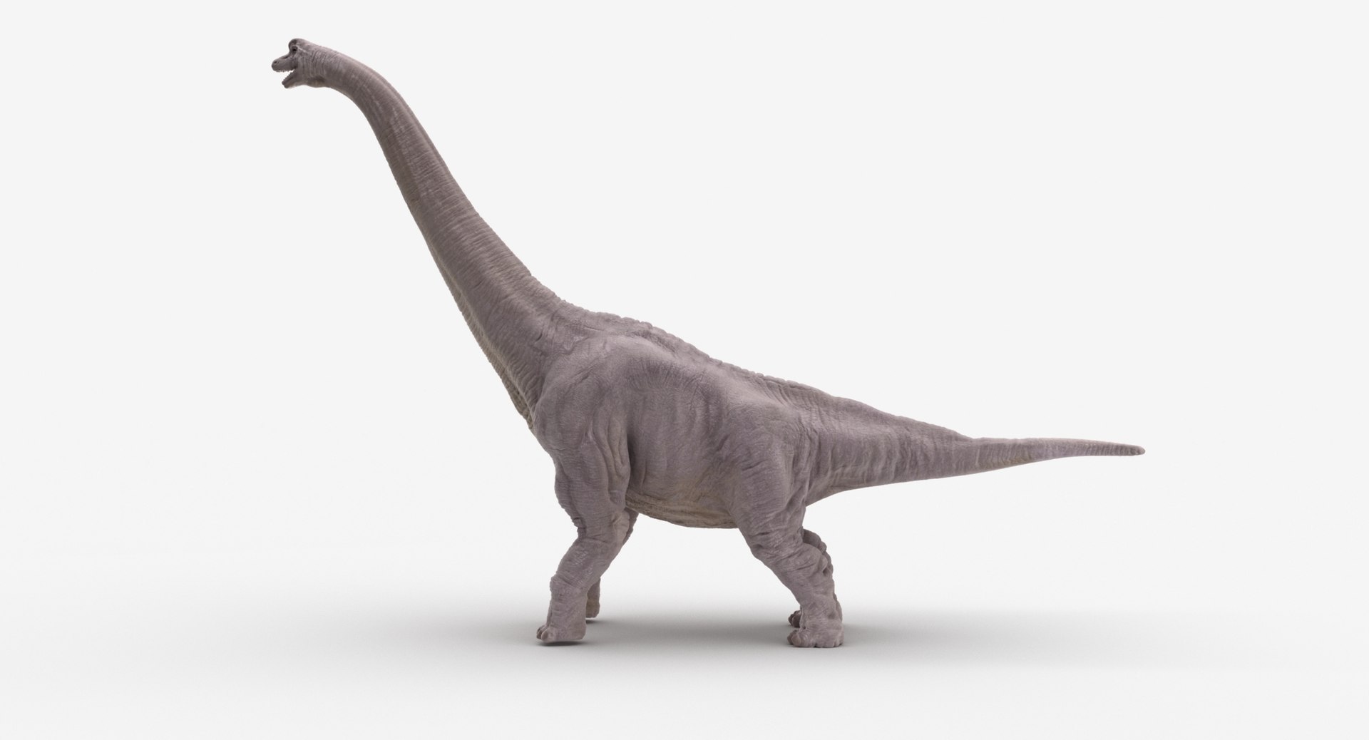 Brachiosaurus Dinosaur Animate 3D Model - TurboSquid 1392853
