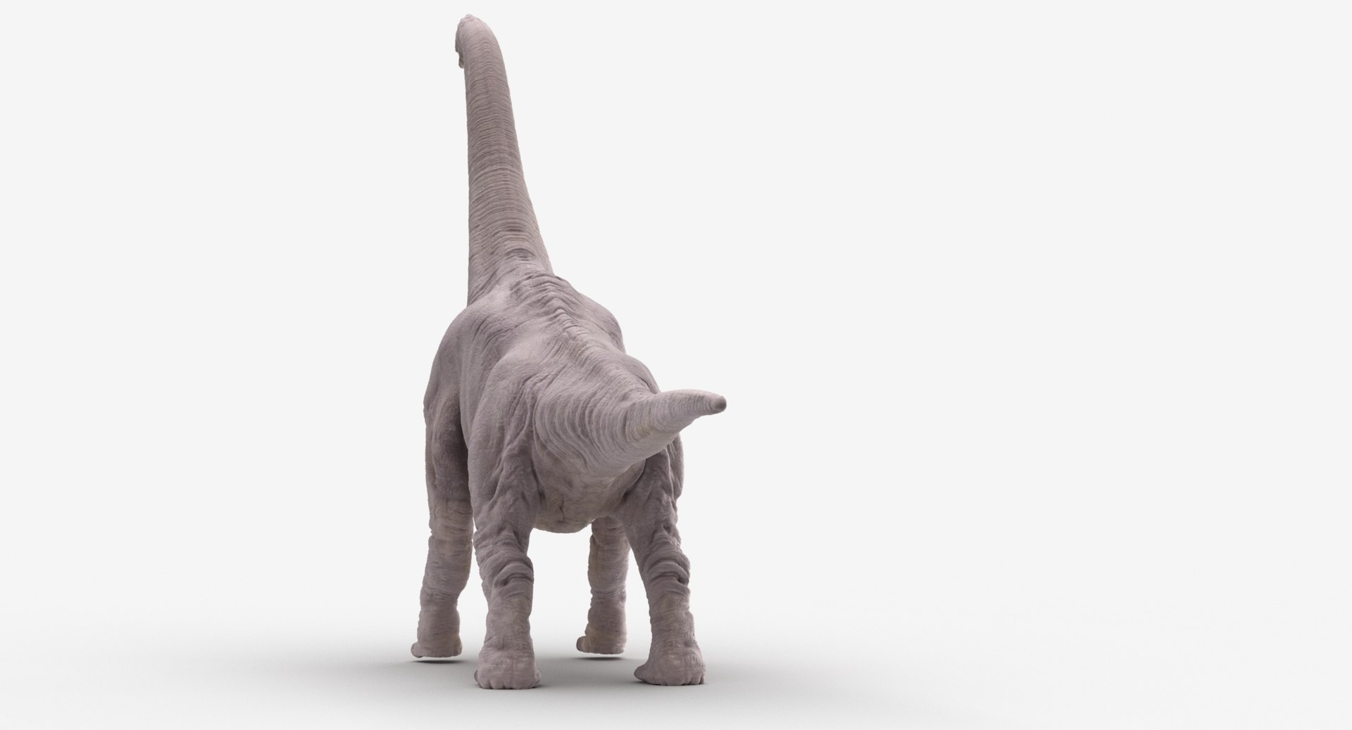 Brachiosaurus Dinosaur Animate 3D Model - TurboSquid 1392853