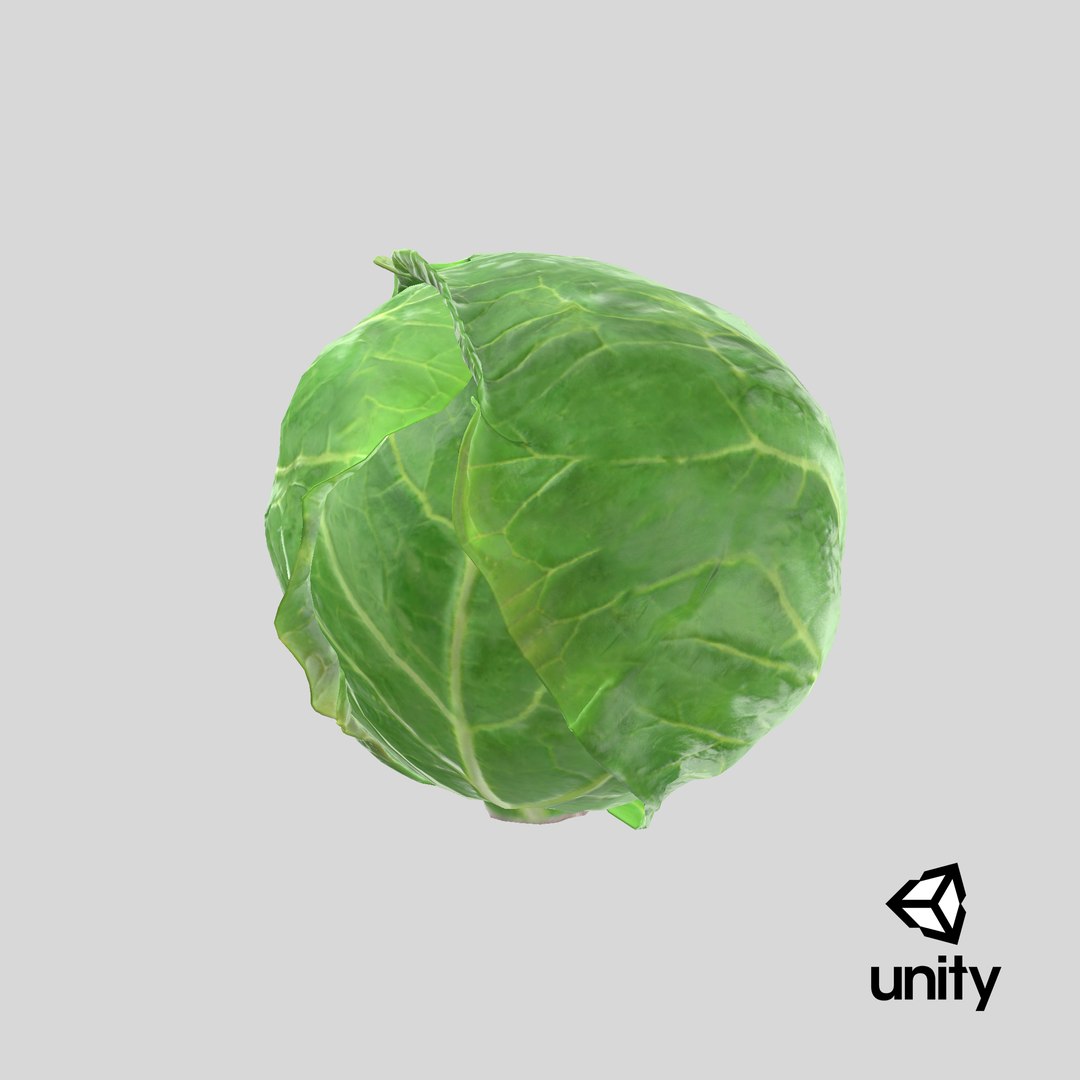 3D Cartoon Cabbage https://p.turbosquid.com/ts-thumb/su/Tq4c6w/9O/stemcell_unity_render/png/1686564511/1920x1080/fit_q87/4a713aed15b9ed97a7c70c2a12ed2c34b6f3f606/stemcell_unity_render.jpg