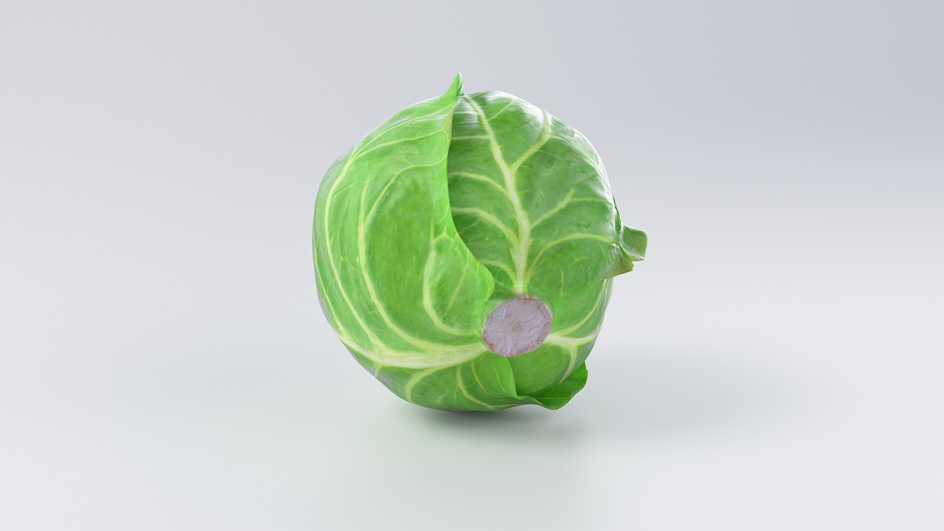 3D Cartoon Cabbage https://p.turbosquid.com/ts-thumb/su/Tq4c6w/DS/cabbage_03/jpg/1685686079/1920x1080/fit_q87/9453f912d6aea86840fcfdd7d7ae94cabda3e019/cabbage_03.jpg