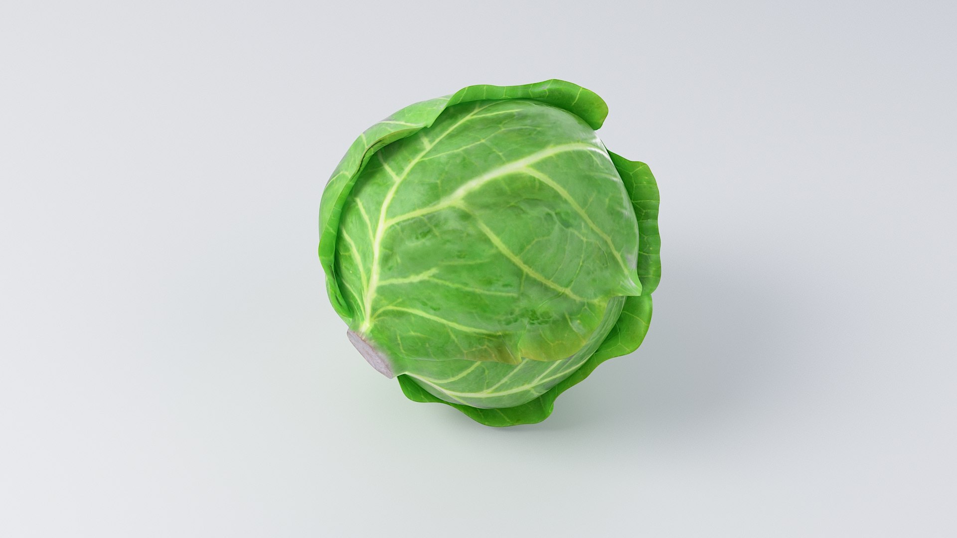 3D Cartoon Cabbage https://p.turbosquid.com/ts-thumb/su/Tq4c6w/af/cabbage_07/jpg/1685686081/1920x1080/fit_q87/6552697476b56435788c8837ce01836b3c499e95/cabbage_07.jpg