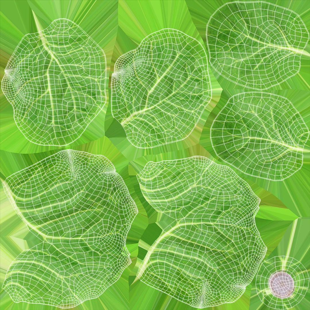 3D Cartoon Cabbage https://p.turbosquid.com/ts-thumb/su/Tq4c6w/mc/xuv_cabbage/jpg/1685686084/1920x1080/fit_q87/d22407f0bb1372d28c1038b371259ebb7638390c/xuv_cabbage.jpg