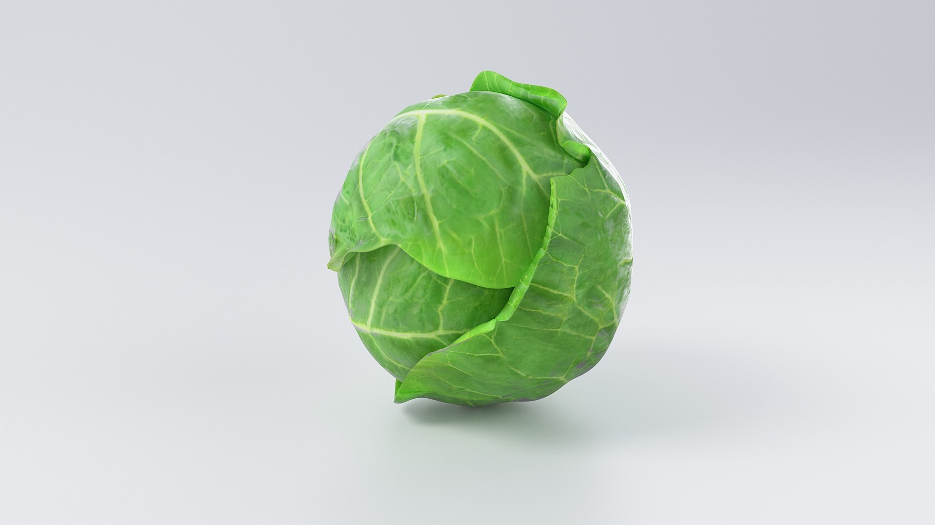 3D Cartoon Cabbage https://p.turbosquid.com/ts-thumb/su/Tq4c6w/nn/cabbage_06/jpg/1685686080/1920x1080/fit_q87/d1e62947d81d9fb4ac9a970e2d50e82b0c013687/cabbage_06.jpg
