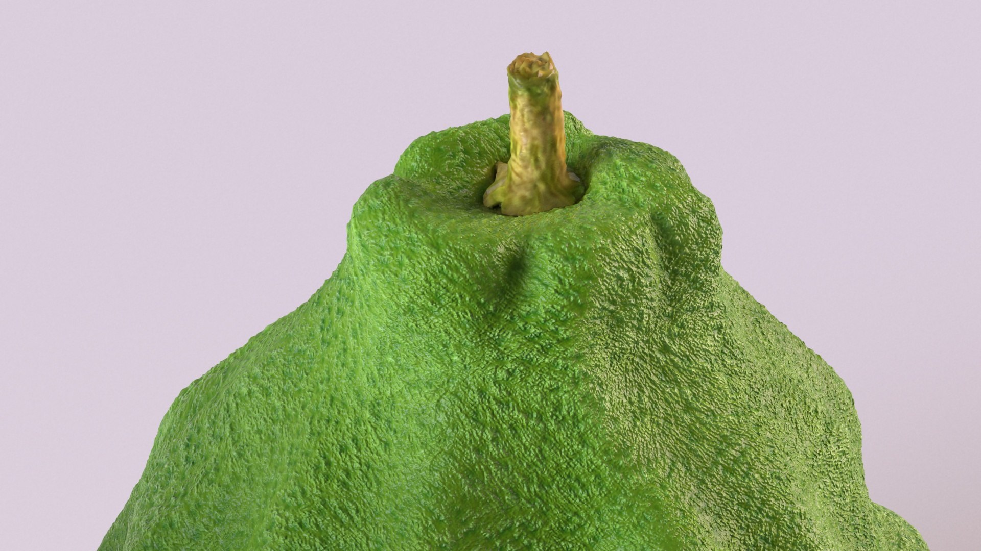 lime food fruit 3D model https://p.turbosquid.com/ts-thumb/su/WXUIpt/0r/8/jpg/1612164245/1920x1080/fit_q87/6d3866158d0df91b7e0150958fbf8d1255b649f4/8.jpg