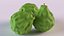 Bergamot