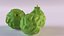 Bergamot