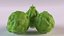Bergamot