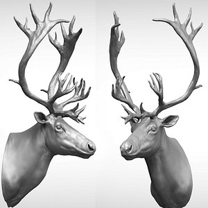 3D reindeer head
