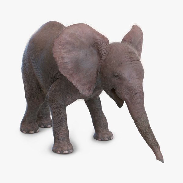 3d baby elephant pose 3