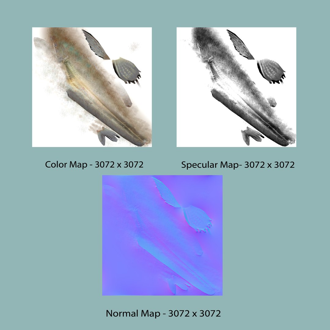 wallago catfish model https://p.turbosquid.com/ts-thumb/su/ngjRi3/VA/b0751walugafish_textlayout/jpg/1632569309/1920x1080/fit_q87/5011a2a18152b5ffd0658688576c8b2fe93ed8b0/b0751walugafish_textlayout.jpg