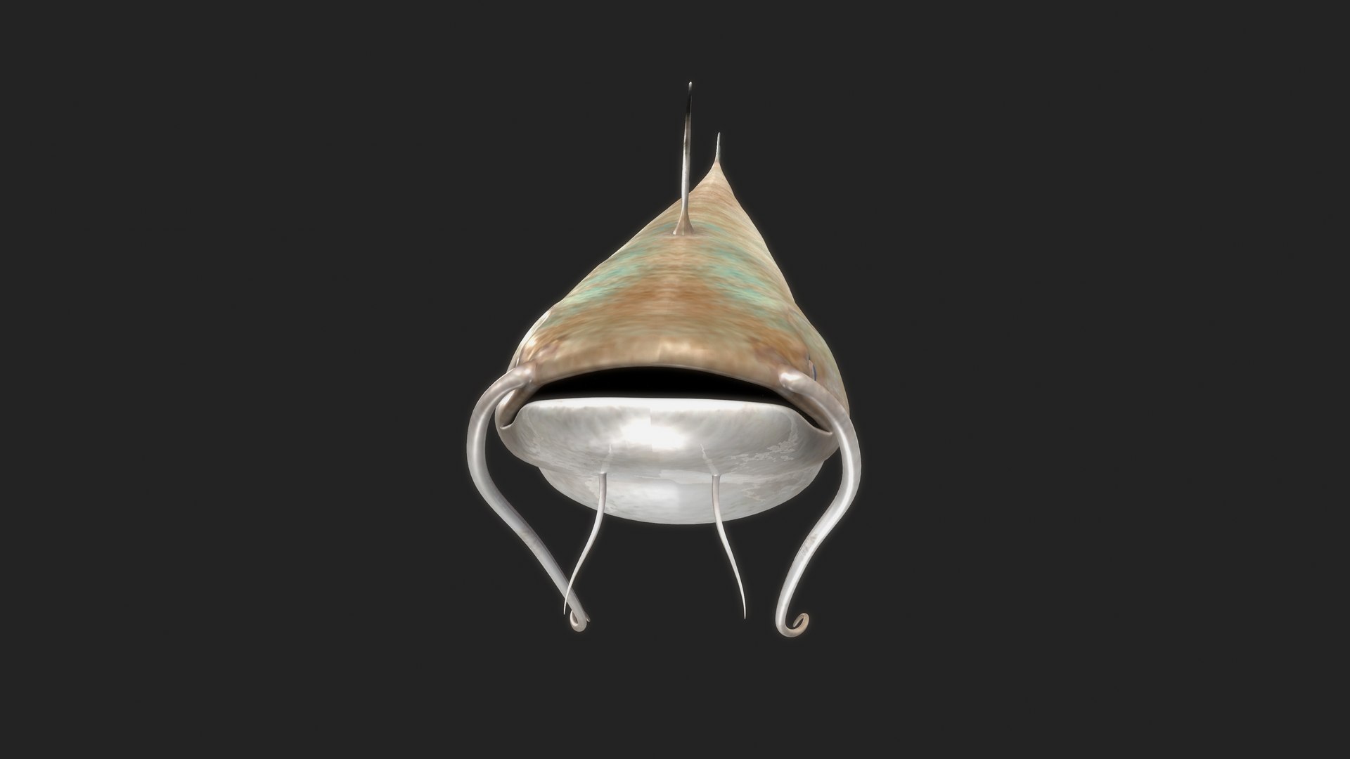 wallago catfish model https://p.turbosquid.com/ts-thumb/su/ngjRi3/xa/b0751walugafish_front/jpg/1632569293/1920x1080/fit_q87/ff5912f975675b7c5c7f4f1996bc177ca5744327/b0751walugafish_front.jpg