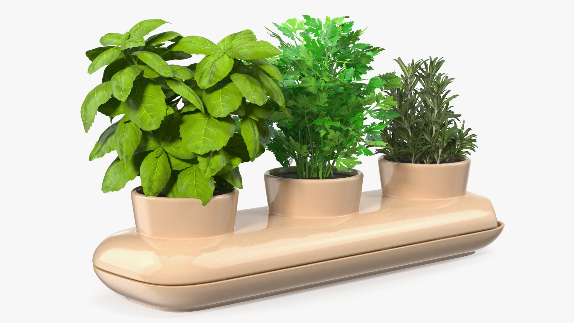 Ceramic Trio Pot with Herbs Sagaform Beige 3D model preview