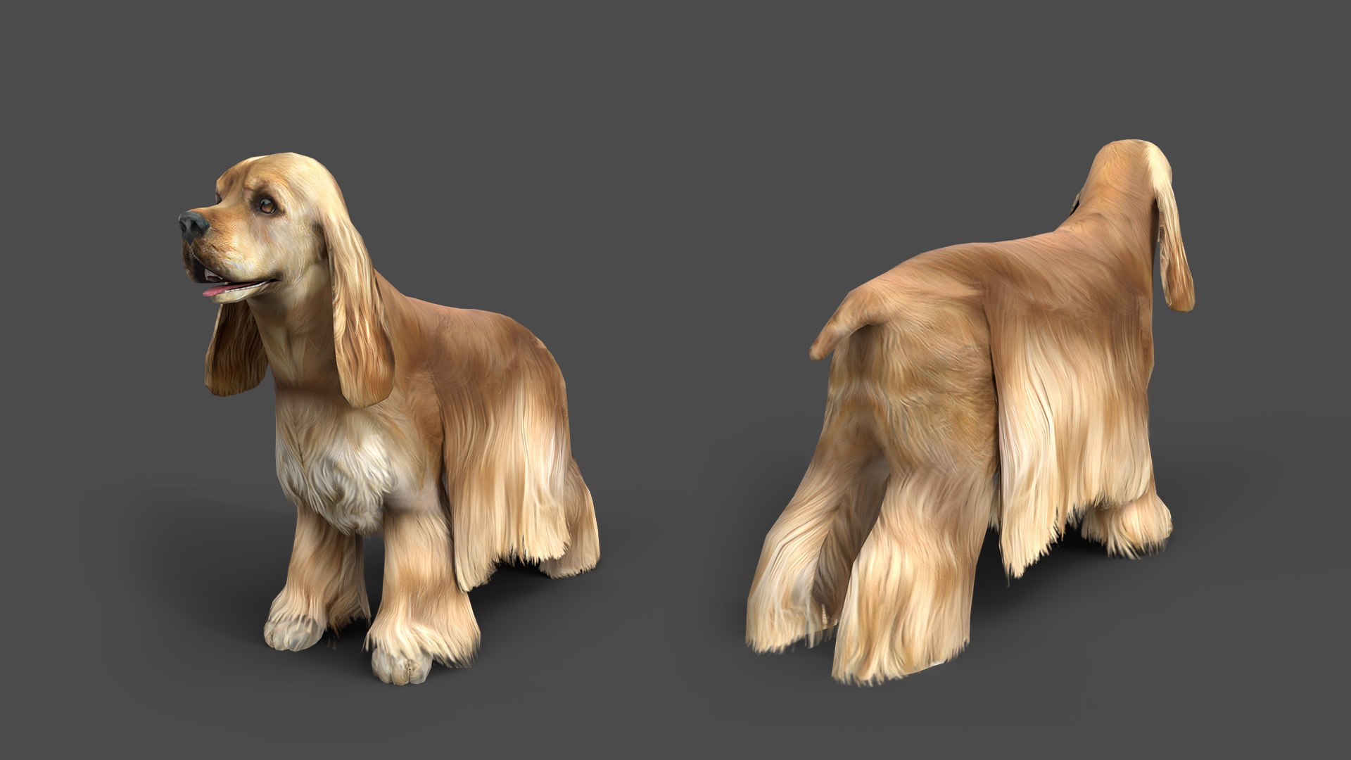 model s dog cocker spaniel https://p.turbosquid.com/ts-thumb/su/vhRJuF/RU/shepherdstaticset1920x10800402cockerkerigrey/jpg/1773148363/1920x1080/fit_q87/e221cb10243b02d6c750d95e60c383cfa7749d39/shepherdstaticset1920x10800402cockerkerigrey.jpg