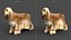 Cocker Spaniel-2 in tempo reale