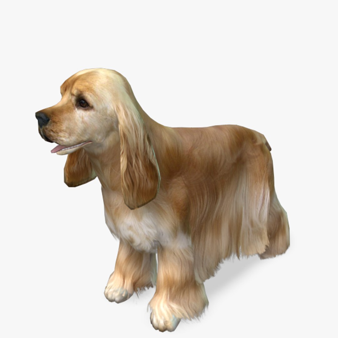 model s dog cocker spaniel https://p.turbosquid.com/ts-thumb/su/vhRJuF/fnX96tSN/cockerspaniel2preview01/jpg/1378813782/1920x1080/fit_q87/1b2e778718fca33e7ab55a08b0d45456c6673b5d/cockerspaniel2preview01.jpg