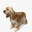 Cocker Spaniel-2 in tempo reale