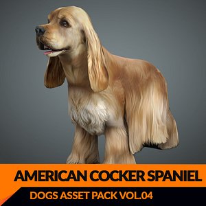 model s dog cocker spaniel