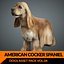 Cocker Spaniel-2 in tempo reale