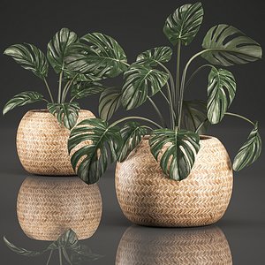 decorative monstera interior basket 3D
