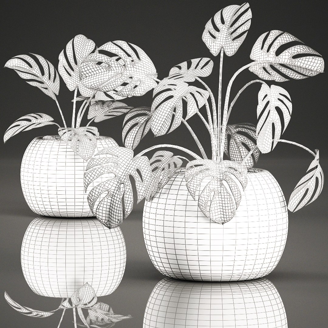 decorative monstera interior basket 3D https://p.turbosquid.com/ts-thumb/sv/3UEYew/w3nU6z6R/monstera1907202009/jpg/1595239445/1920x1080/fit_q87/9991cf9a9317d51b8abb28ce3e991b8080475188/monstera1907202009.jpg