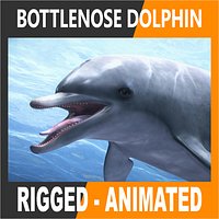 Animated Bottlenose Dolphin