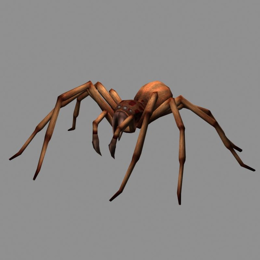 Spider Obj