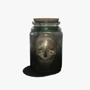 Medieval Jar with Skull model