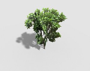 3d model games tree