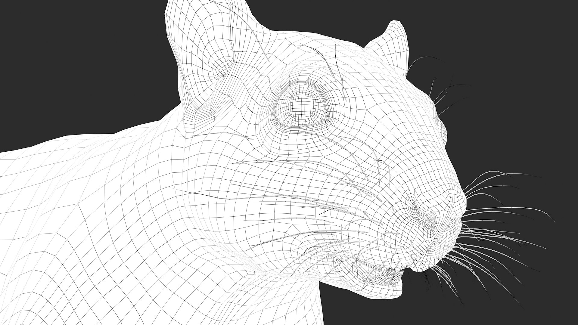 3D squirrel fur hair https://p.turbosquid.com/ts-thumb/sv/kfphM3/Y041loq3/wire39/jpg/1609868764/1920x1080/fit_q87/e17df479ad622be4181f6535992bd26bcf3e86d0/wire39.jpg