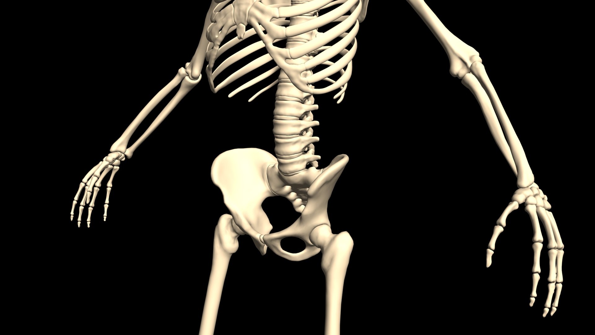 3D model Arms Hip Hop Dance https://p.turbosquid.com/ts-thumb/sv/n6opuG/IS/009/jpg/1751103627/1920x1080/fit_q87/34abdd42f0823ac1a7d1a89c44834d1434ac80b5/009.jpg