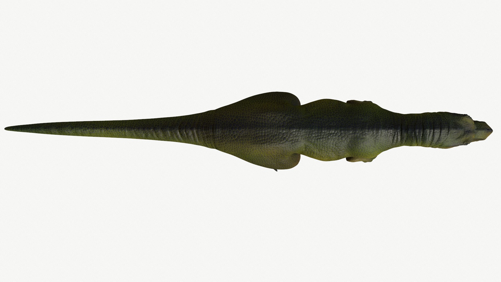 young tyrannosaurus rex 3D https://p.turbosquid.com/ts-thumb/sv/oVZaDy/8r/4/png/1728453561/1920x1080/fit_q87/f87d332d33f844b7793c92b509960ea7decf10d8/4.jpg