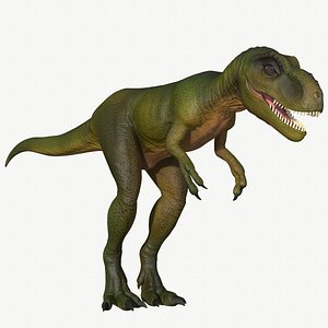 Young Tyrannosaurus Rex