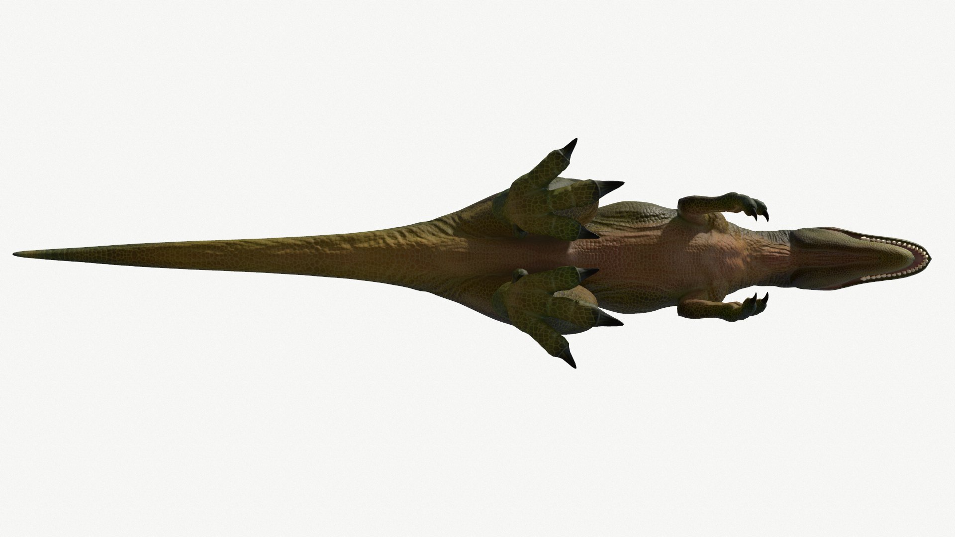 young tyrannosaurus rex 3D https://p.turbosquid.com/ts-thumb/sv/oVZaDy/Xk/6/png/1728453563/1920x1080/fit_q87/d9903df9ae582618629623785e5ef7d0b141b0aa/6.jpg