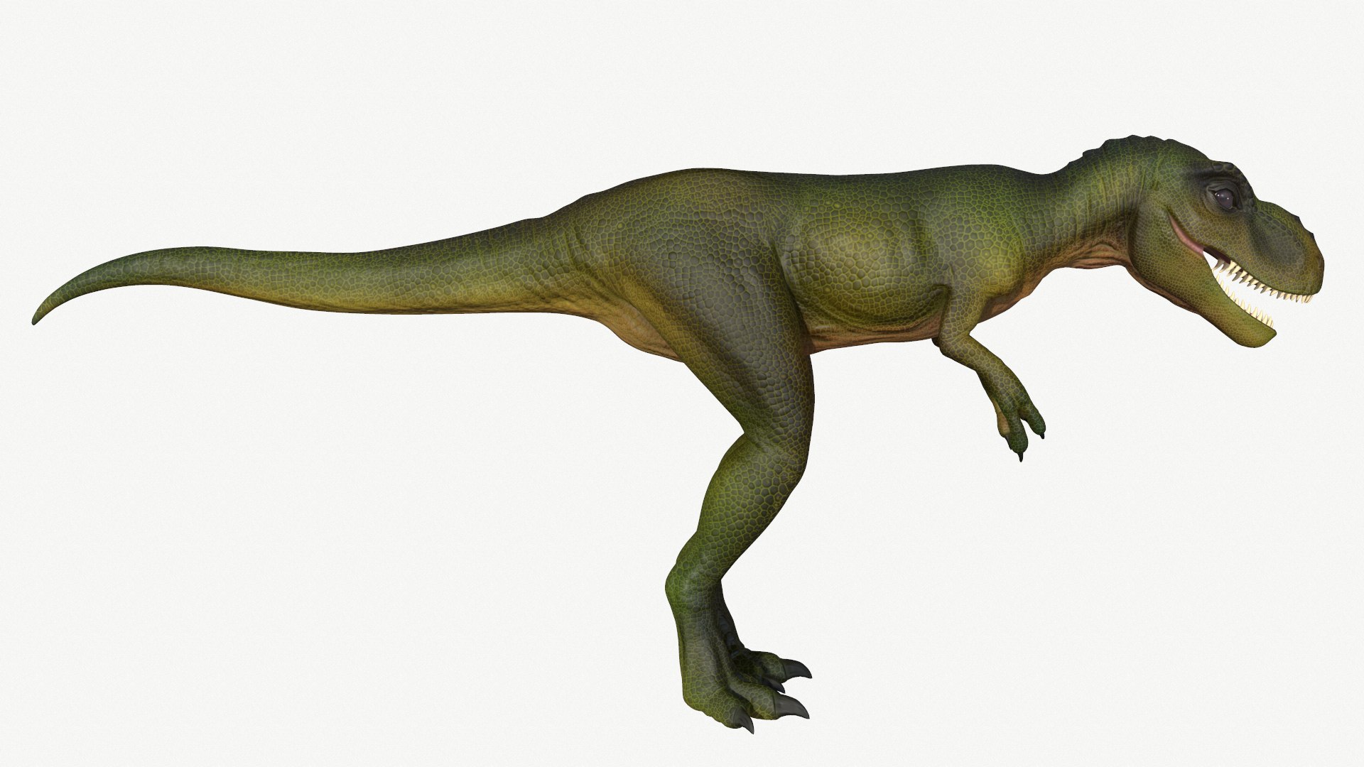 young tyrannosaurus rex 3D https://p.turbosquid.com/ts-thumb/sv/oVZaDy/kE/2/png/1728453559/1920x1080/fit_q87/137facc6d9f3b3af8f298b07f5a7bb605ed9830a/2.jpg