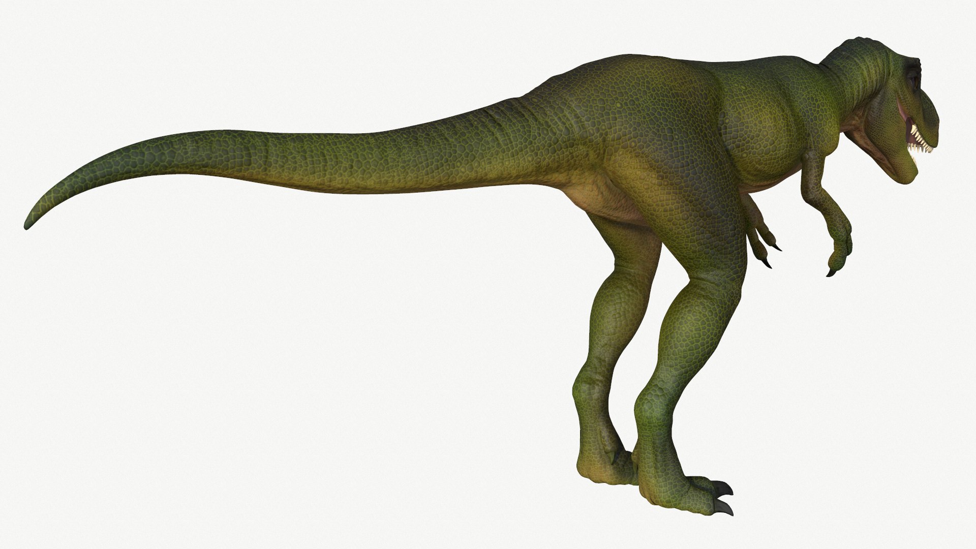 young tyrannosaurus rex 3D https://p.turbosquid.com/ts-thumb/sv/oVZaDy/o8/3/png/1728453560/1920x1080/fit_q87/ed61f8e505a4e859a6c6470cd083242f567f31f4/3.jpg