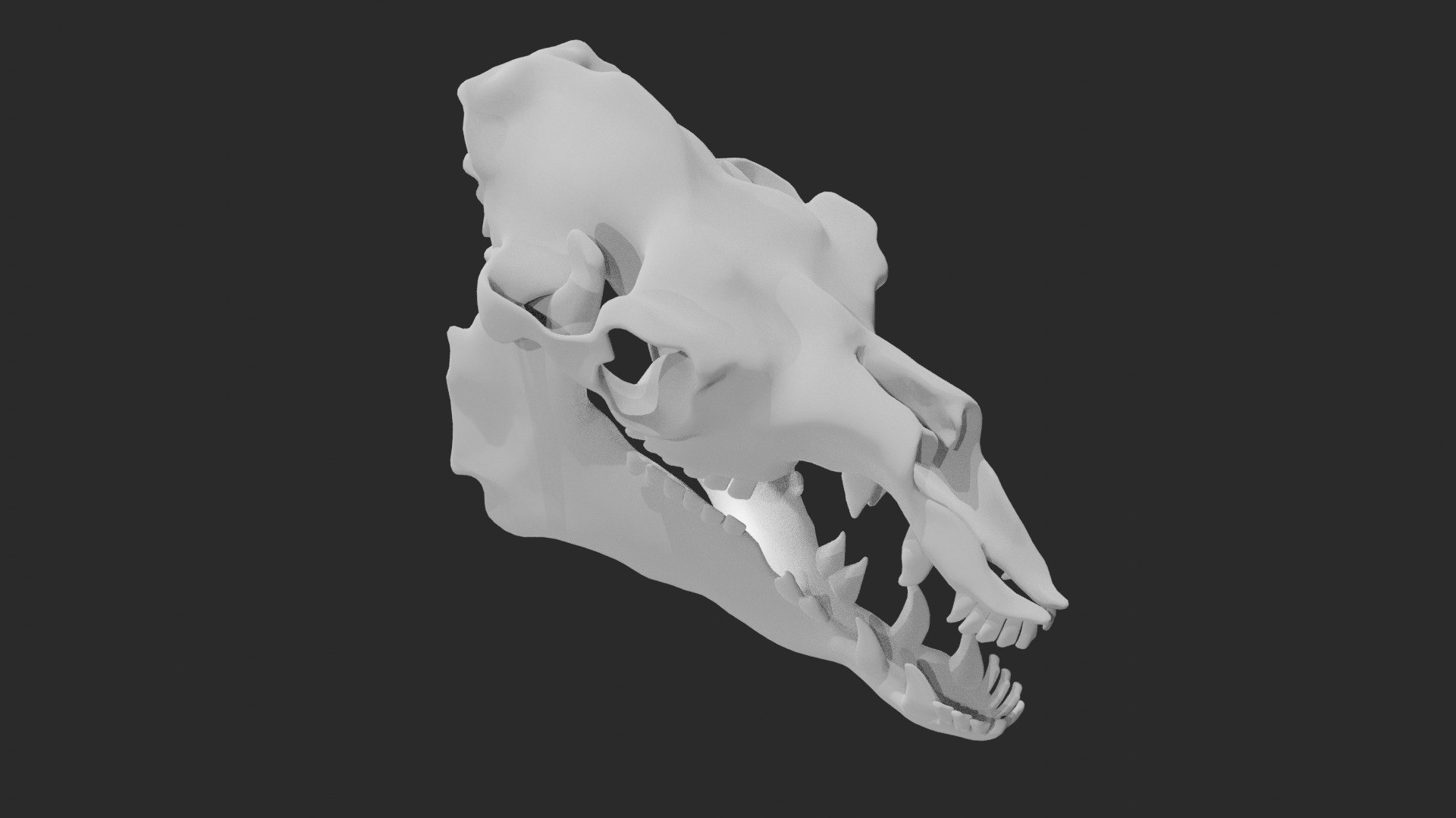 Camel Skull Camel skeleton 3D model - TurboSquid 1876537