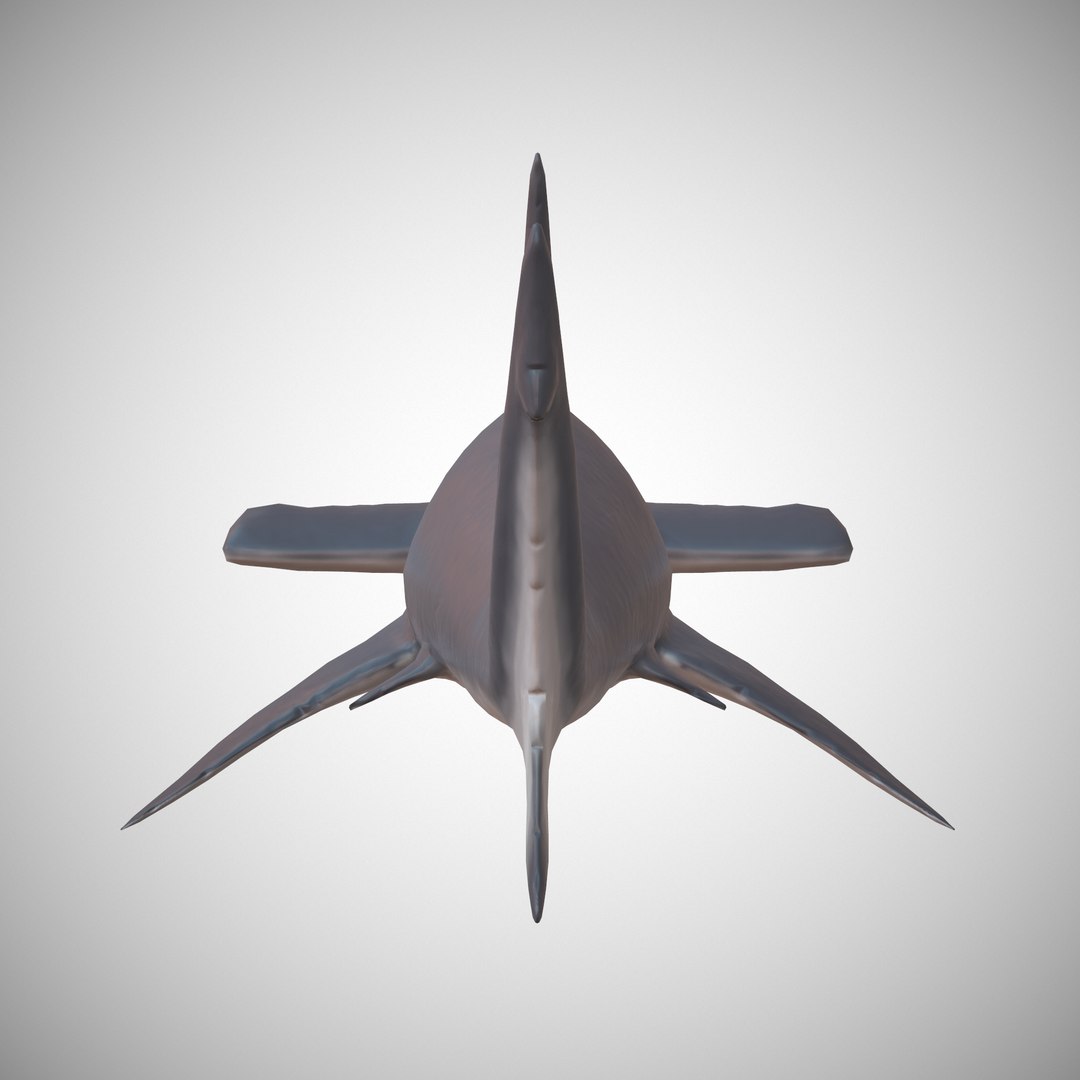 hammerhead shark 3D model https://p.turbosquid.com/ts-thumb/sv/uYT6dC/nOzlHxYA/09/png/1509739994/1920x1080/fit_q87/62a7940cbafebbd36f44abd7e22338fc5b03e6f7/09.jpg