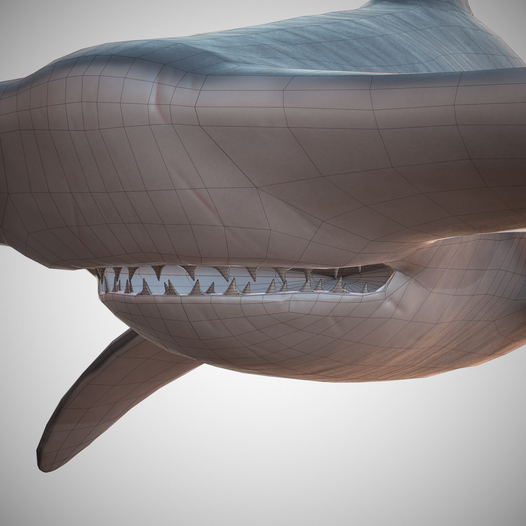 hammerhead shark 3D model https://p.turbosquid.com/ts-thumb/sv/uYT6dC/zrY2zlgd/10/png/1509739994/1920x1080/fit_q87/5308dd82098e17cf065479453832b91293980328/10.jpg