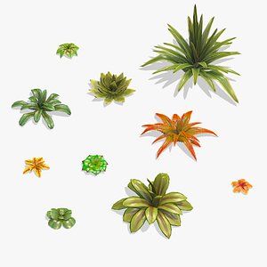 3D Stylized Desert Plants model