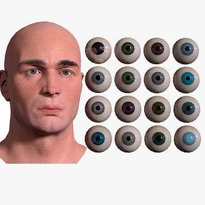 3D eye eyeball anatomy model