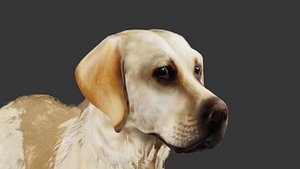 Realistic 3D Animated Dog model