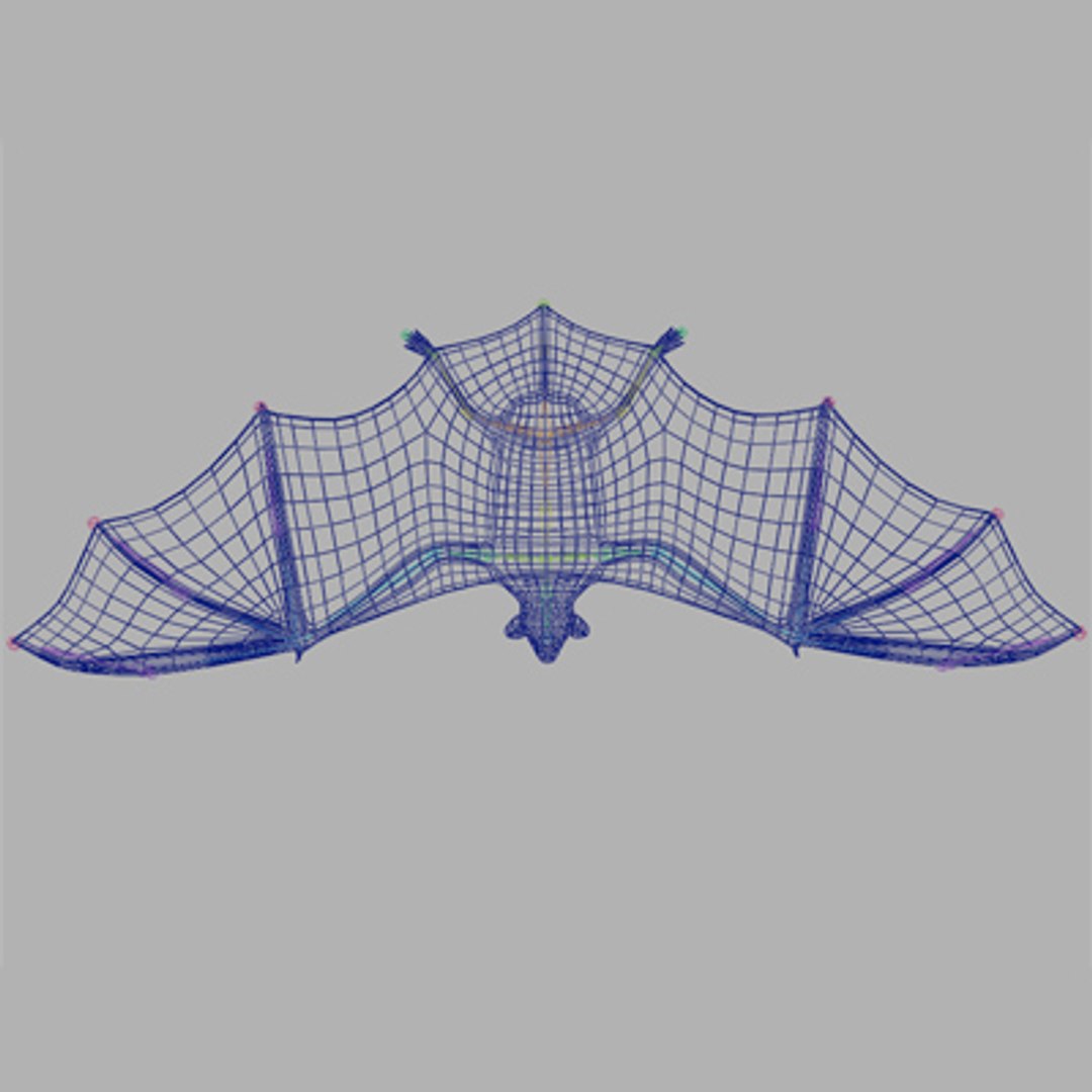 3d vampire bat model https://p.turbosquid.com/ts-thumb/sw/IQPgvV/gP9Df7HN/bat_wiretop/jpg/1153968398/1920x1080/fit_q87/0d75e25087f9a31f85eff49de0617ba34d876343/bat_wiretop.jpg