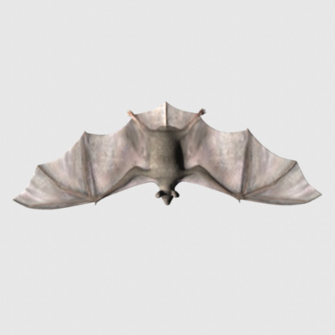 3d vampire bat model https://p.turbosquid.com/ts-thumb/sw/IQPgvV/rnXgU8M6/bat_wingflat/jpg/1153968384/1920x1080/fit_q87/8a8fb026e3359a8b597eafd55f13191b8720f59f/bat_wingflat.jpg
