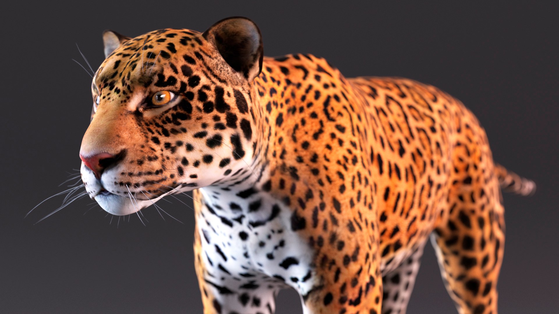 Jaguar 3D Model - TurboSquid 2217497
