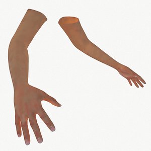 3D hands model